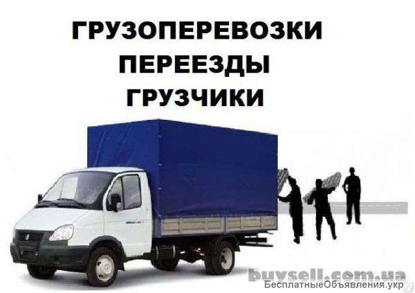 Грузоперевозки