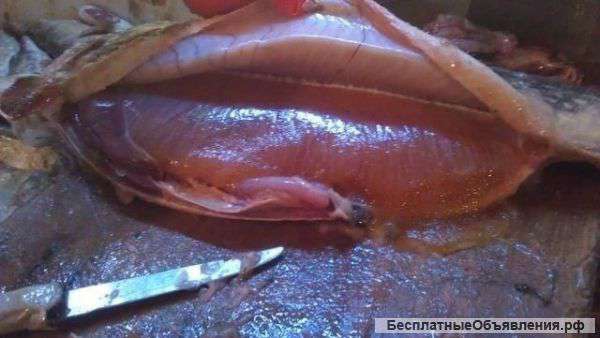 Рыба свежемороженая