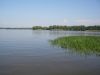 Участок возле Азовского моря