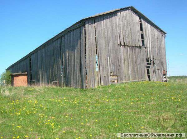 Ищет партнеров для сотрудничество