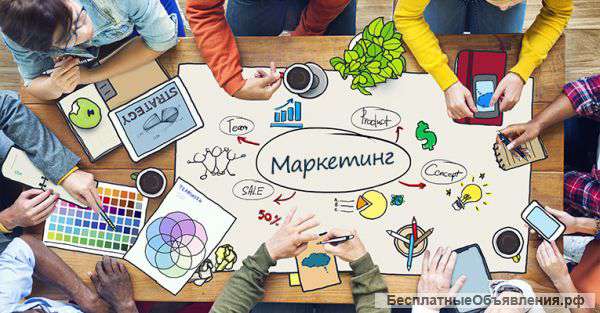 Разработка и проведение маркетинговых исследований