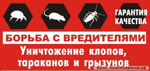 Дезинфекция, Дезинсекция, Дератизация