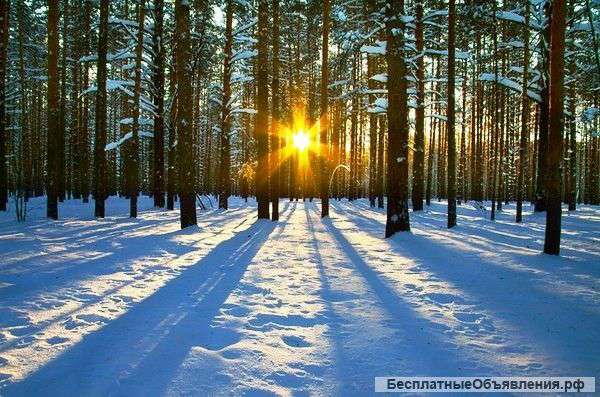 Участок с Газом и Электричеством