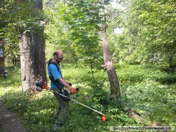 Расчистим Ваш Участок