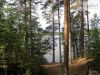 Местечко для отдыха