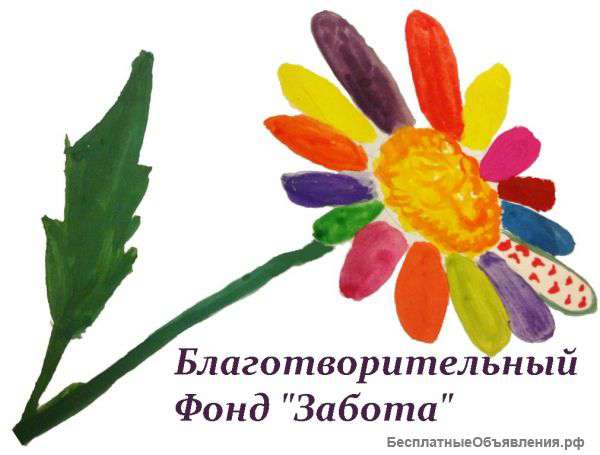 Благотворительный Фонд поддержки и развития образовательных и социально-культурных программ Забота