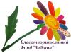Благотворительный Фонд поддержки и развития образовательных и социально-культурных программ Забота
