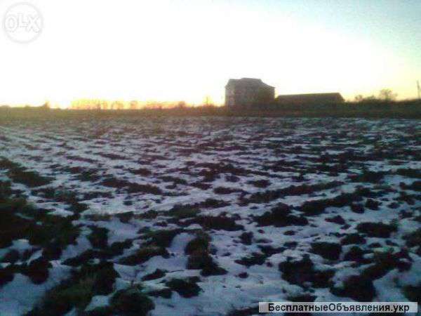 Земельну ділянку під будівництво та ведення осг