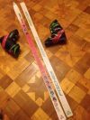 Горные лыжи fischer sc-4 sport boron trape zoid аustria