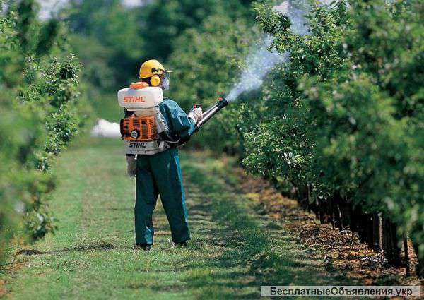 Опрыскивание и лечение сада