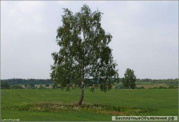 Под частный дом