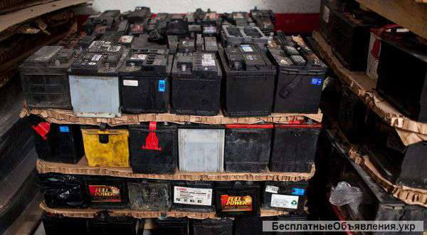 Маслозавод принимает подсолнечник 8600 грн. за тонну