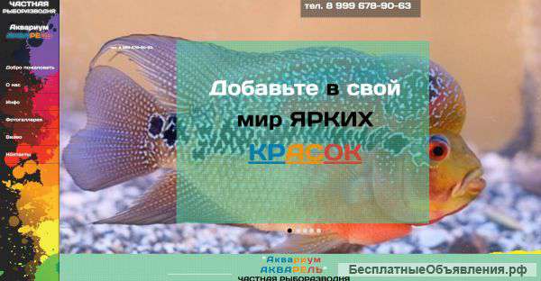 Создам простой сайт лэндинг - landing