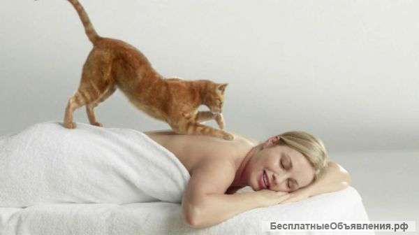 SPA-процедуры по телу. Массаж