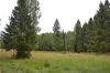 Лесной участок на Дмитровском шоссе. 40 км от МКАД. Эко-поселок. 18 соток