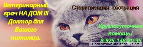Ветеринарная служба