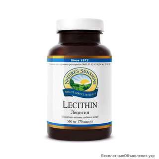 Лецитин NSP восстанавливает печень, выводит токсины, разжижает желчь