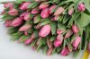 Тюльпаны к 8 Марта недорого