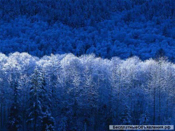 Поиск работы