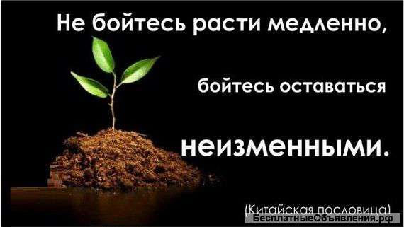 Симбиоз