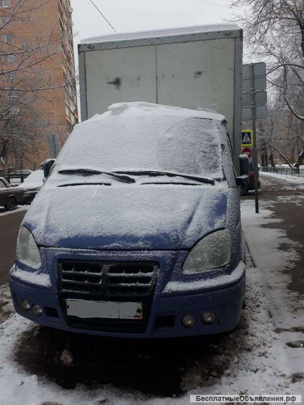 Газель