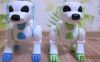 Умные игрушки "Robonik"