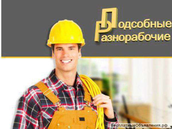 Разнорабочие