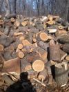 Дрова для печей