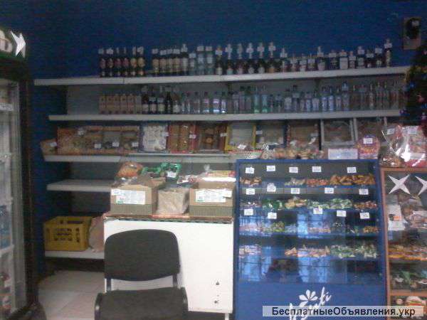 Действующий бизнес