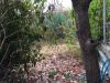 Участок в Веселом под застройку