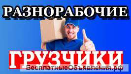 Служба грузчиков