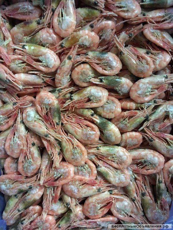 Креветки, лангустины, морепродукты