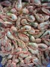 Креветки, лангустины, морепродукты