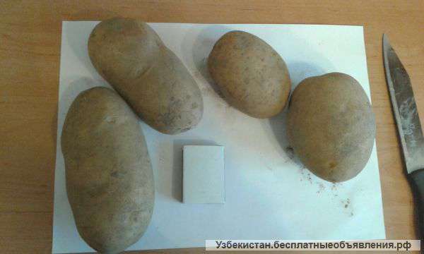Картофель белорусский