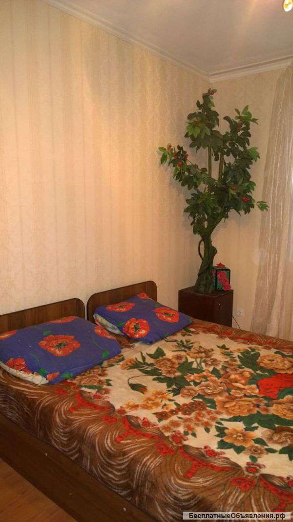 Отличный вариант на Новый год