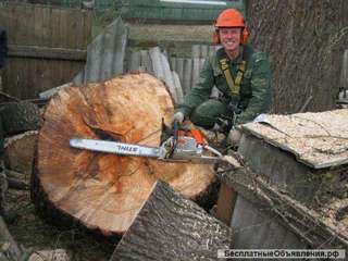 Спил деревьев. Удаление пней.