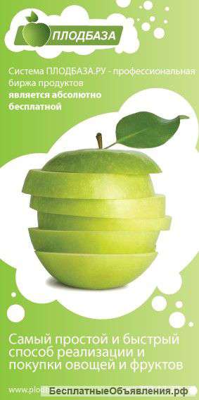 Сайт