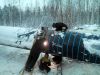 Требуется сварщик