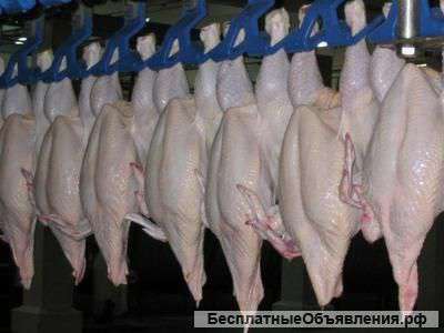 Мясо птицы оптом