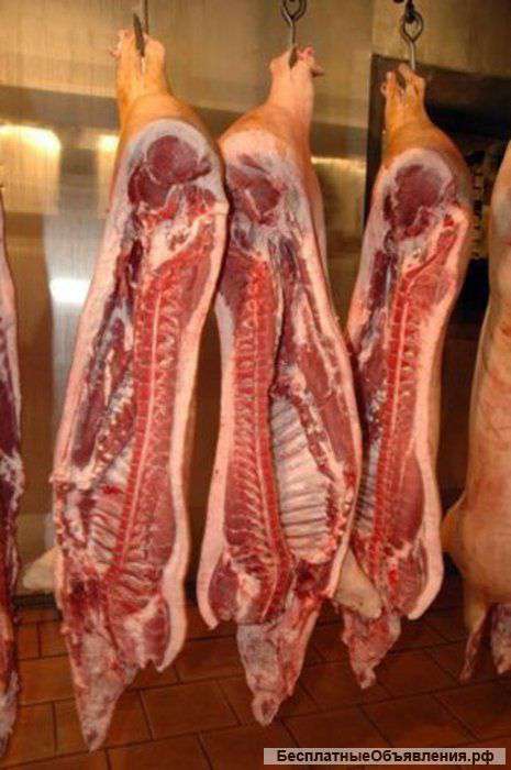 Свинина оптом