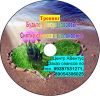 Специализированные диски-аудиопрограммы для похудения