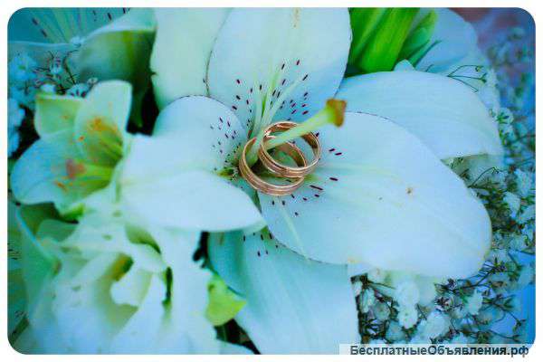 Фото любого мероприятия