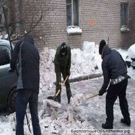 Лучшие,активные подсобники,разнорабочие столицы
