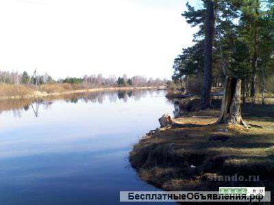 Дом и участок