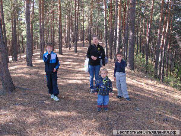 Мечта-нужда