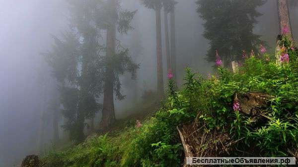 Дачный участок в горах у моря