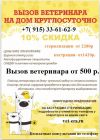 Вызов ветеринарного врача на дом и запись в ветклинику