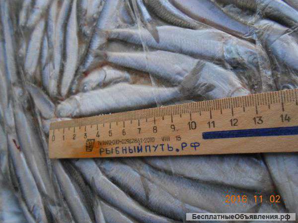 Анчоус - хамсу свежемороженую СРТМ-к оптом в Керчи