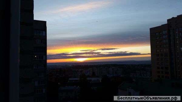 Работа по совместительству в сфере электронных торгов