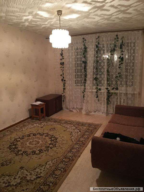 Сдаю 1 комнатную квартиру